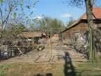 Homrogd030926 110.jpg (134kb)